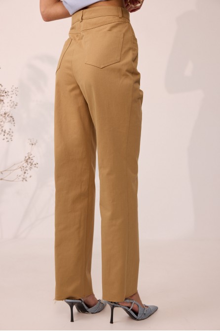 Брюки 4116 (коричневый)